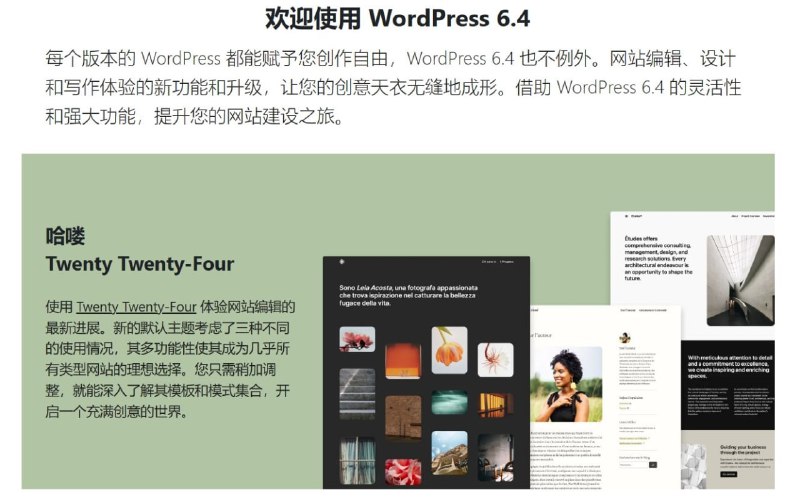 WordPress 近日推出 6.4 版本，并发布全新的官方主题 Twenty Twenty-Four我也将博客程序 WordPress 升级到 6.4，推出了新的官方主题 Twenty Twenty-Four